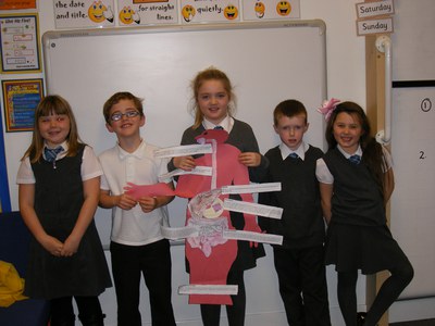 digestive System